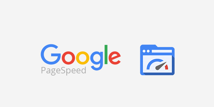 logo google page speed insight